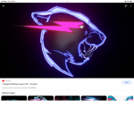 Mr beast fan club 7