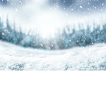 The Snow Group!!!