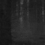 blazied Group Thumbnail