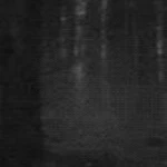 blazied Group Thumbnail