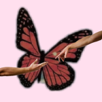 Baby Butterfly