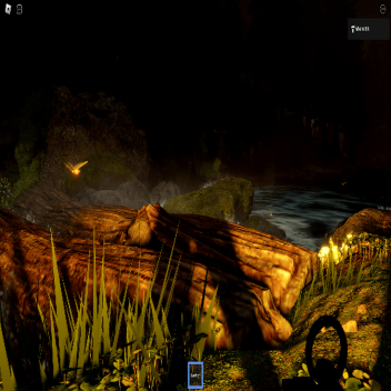 Realistic Night Forest
