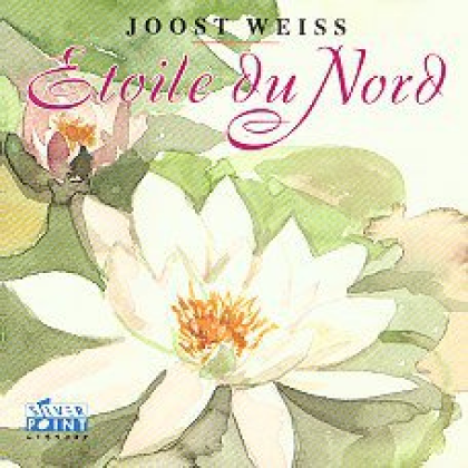 Guitaros Roblox music