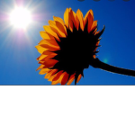 #lovely~