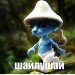 Шайлушай