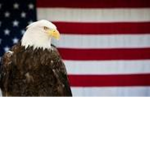 Tord's U.S Army