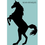 ~ Shady meadows equine facility ~