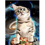 Mail Cat Studios