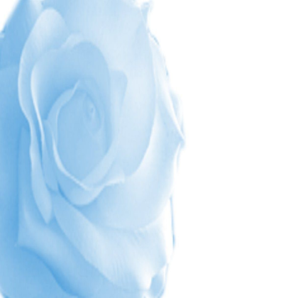 Blue Rose Roblox decal