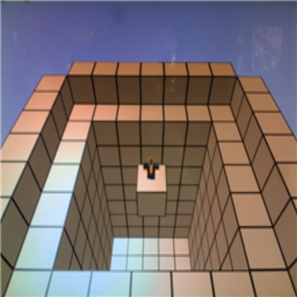 Cat on a brick Roblox decal