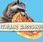 italian racoons