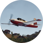 Licensed Pilot