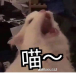 Robolx群沒事別亂加