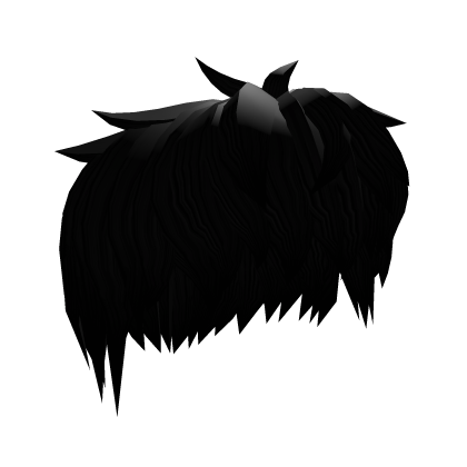 Messy black curly hair
 Roblox item