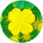Golden Clover