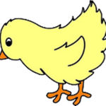 Chicken Can Fly!