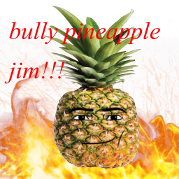 buIIy pineapple jim