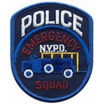 New York SWAT Team [NYST]