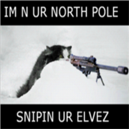 funny cat Roblox decal