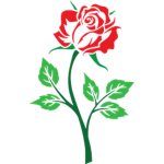 Rose Apparel Clothing Group