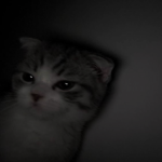 DASDw