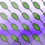 The Leaf Family