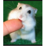 로벅스 주는 그룹이에요 :>