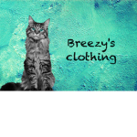 Breezy's clothing