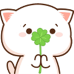 Miyavv