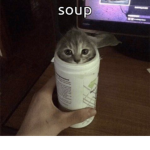 soup…????