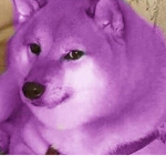 Doge Pro’s Offical YT Group