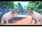 Hey i ilke alex is video