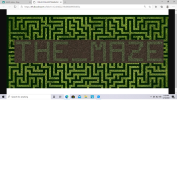 Maze Wars