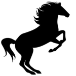 Horse Back Riding Racers