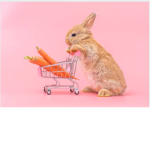 bunnyfreedom