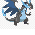 CHARIZARD TEAM