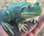 Hungry Frog Game