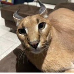 The Smooshy Group!