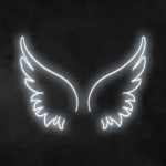 angels lights