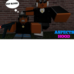 Aspects Hood