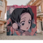 ~*Sinobus*~