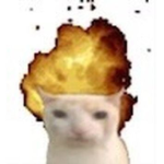 Chum chumUwU