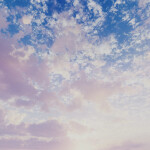 With My Dreams