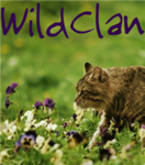 Wildclan