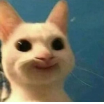 bobux bobux !