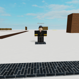 training /basic combat