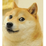 Da Dogggggggggggggggggge group