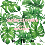 Sh1ne clothes