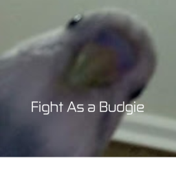 Fight as a budgie icon