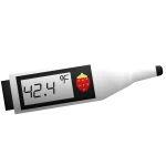 cute berry thermometer in black and white